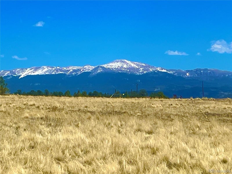 90 Meadow Ln Lot 2, Guffey, CO 80820