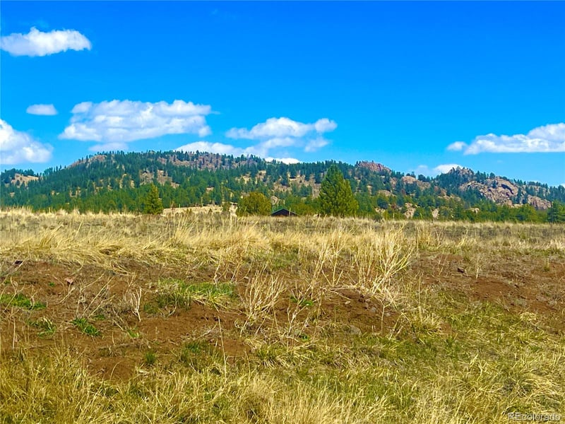 90 Meadow Ln Lot 2, Guffey, CO 80820