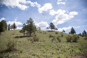 780 Cliff View Dr, Creede, CO 81130