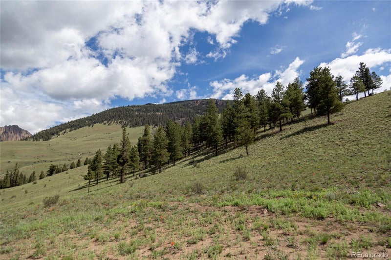 730 Cliff View Dr, Creede, CO 81130