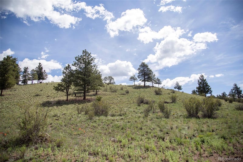 645 Cliff View Dr, Creede, CO 81130