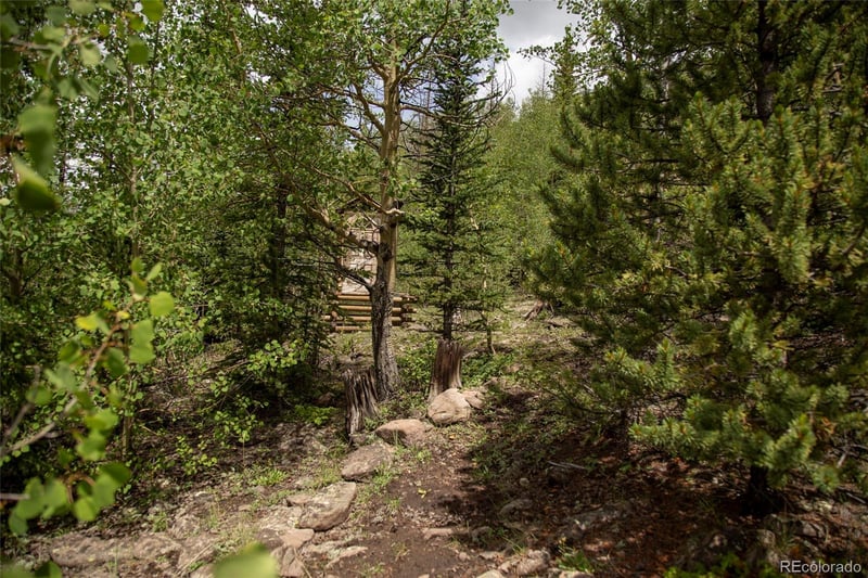 Tbd Forest Rd 503, Creede, CO 81130