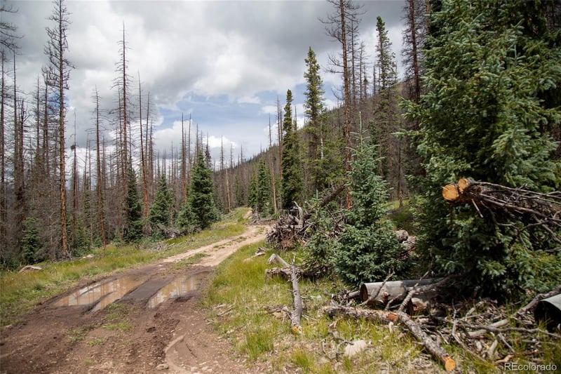 Tbd Forest Rd 503, Creede, CO 81130