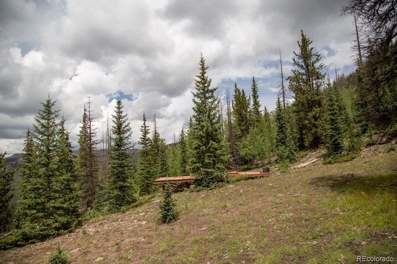 Tbd Forest Rd 503, Creede, CO 81130