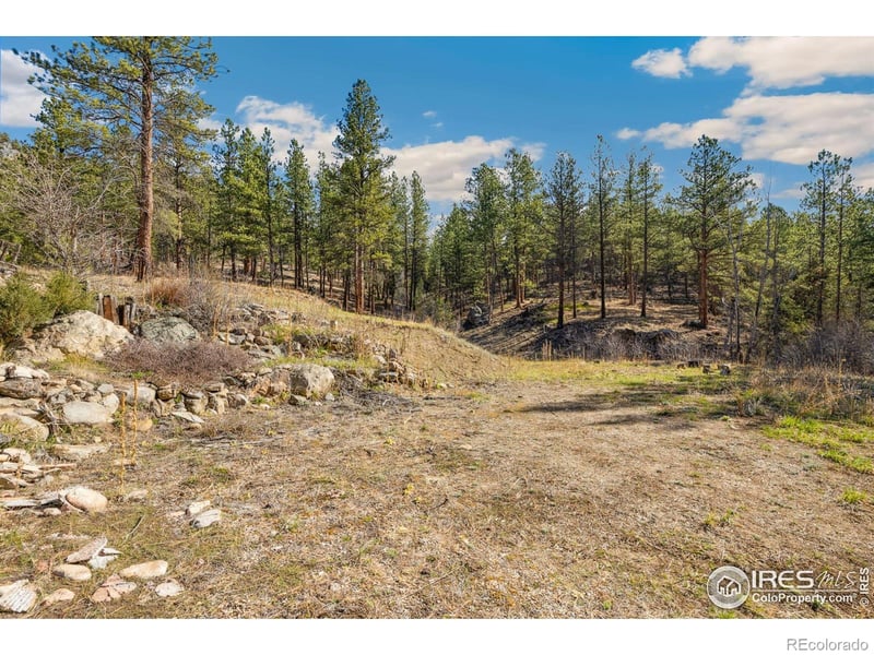 755 Fox Creek Rd, Glen Haven, CO 80532