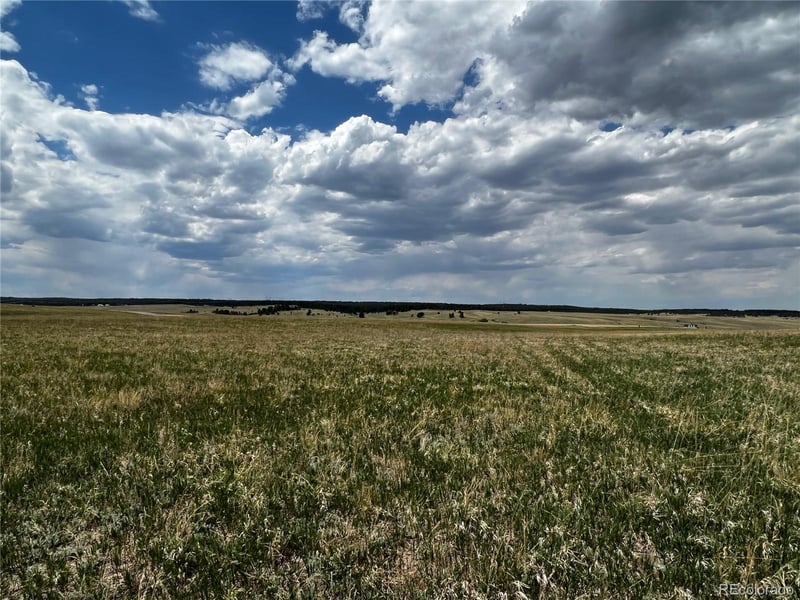 11970 Woodridge Ter, Colorado Springs, CO 80908