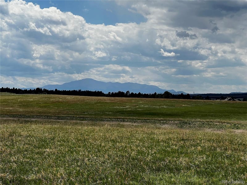 16990 Early Light Dr, Colorado Springs, CO 80908