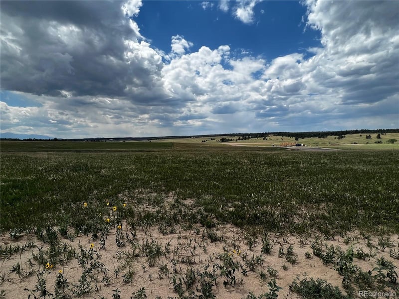 16990 Early Light Dr, Colorado Springs, CO 80908