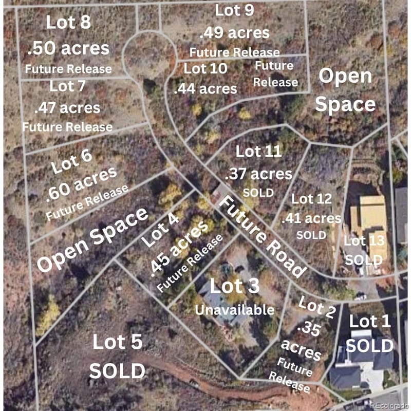 849 Shelton Rd, Golden, CO 80401