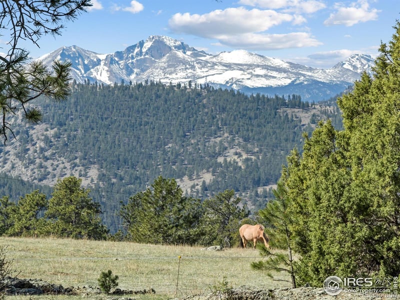 141 Palisade Mountain Dr, Drake, CO 80515