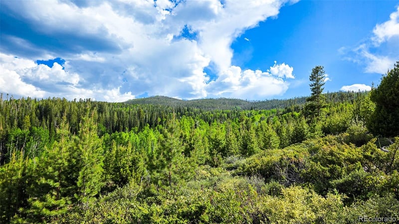 520 County Road 52, Granby, CO 80446