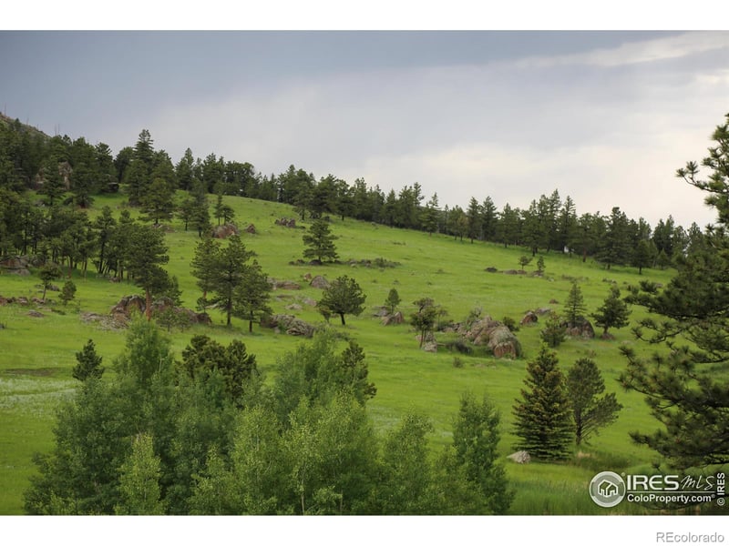 Old Flowers Rd, Bellvue, CO 80512