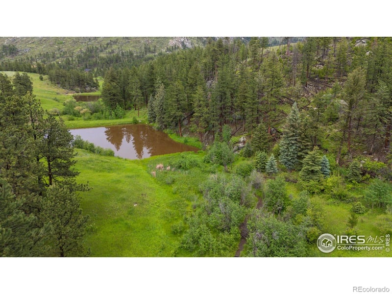 Old Flowers Rd, Bellvue, CO 80512