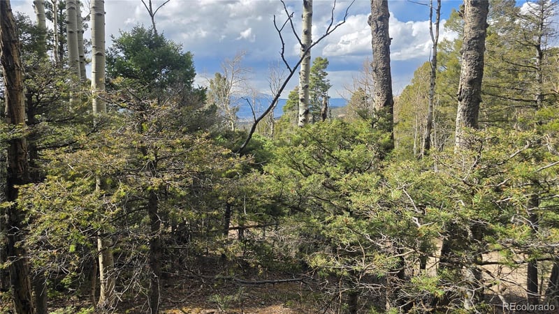 Lot 5261 Scott Rd, Fort Garland, CO 81133