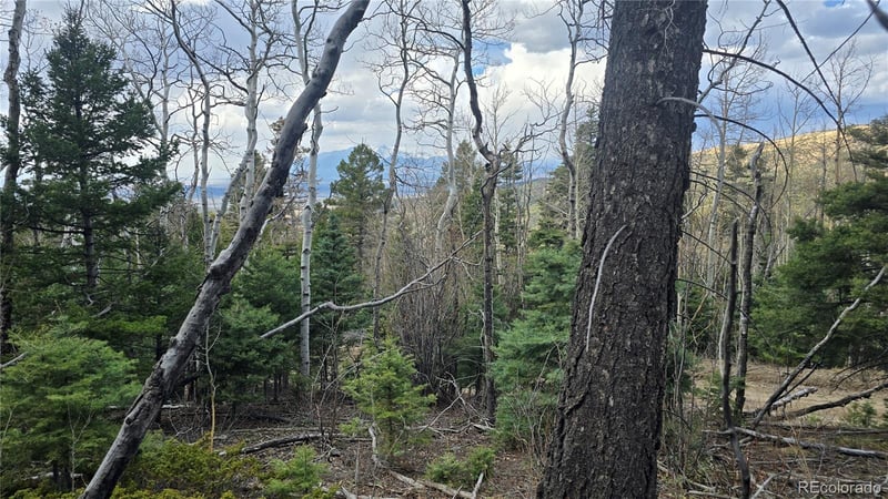 Lot 5261 Scott Rd, Fort Garland, CO 81133