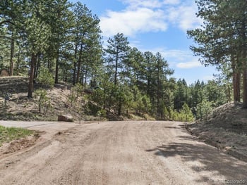 156 Ridge Dr, Woodland Park, CO 80863