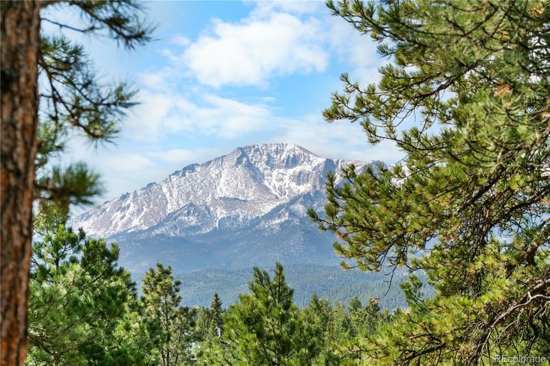 156 Ridge Dr, Woodland Park, CO 80863