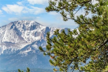 156 Ridge Dr, Woodland Park, CO 80863