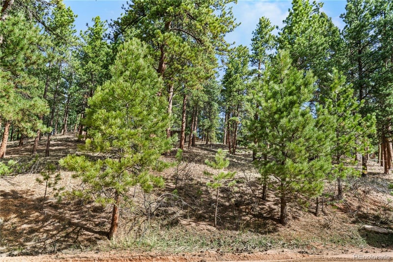 156 Ridge Dr, Woodland Park, CO 80863