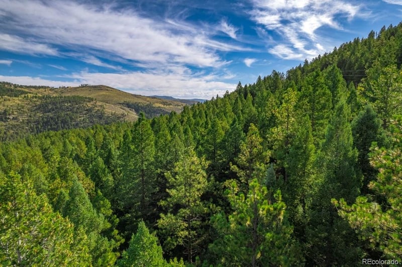 360 Hi Meadow Dr, Bailey, CO 80421