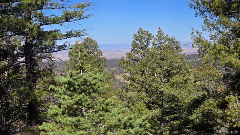 Lot 6034 Wood Rd, San Luis, CO 81152