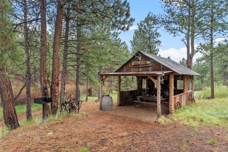 15608 Ouray Rd, Pine, CO 80470