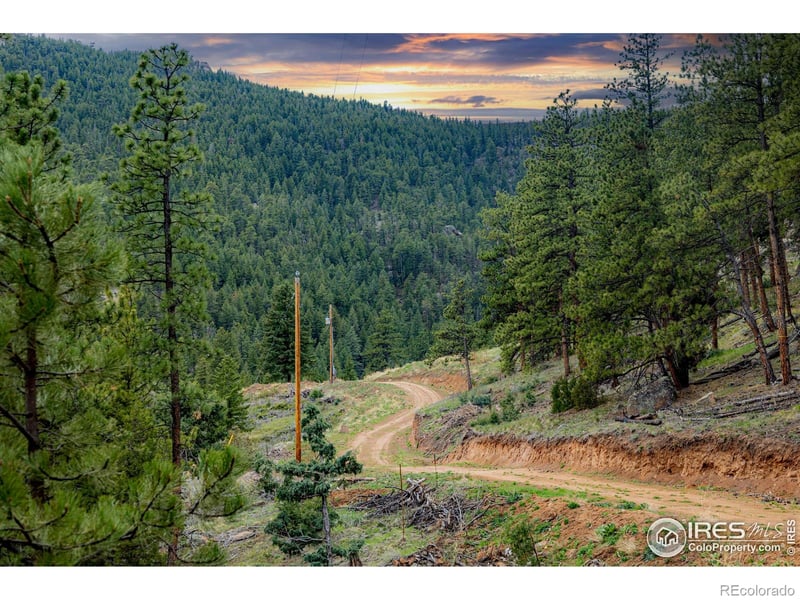 12724 N Saint Vrain Dr, Lyons, CO 80540