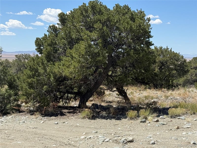 Oak & 17th St, Blanca, CO 81123