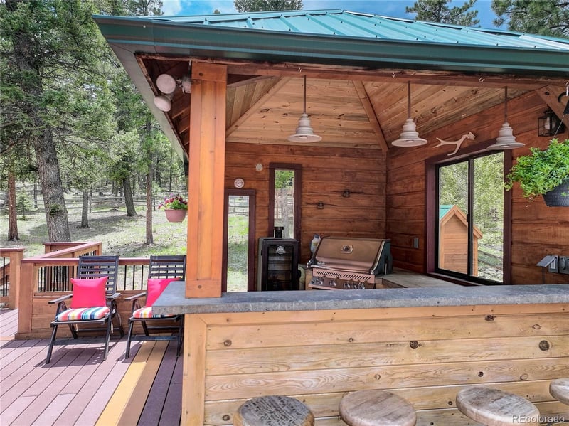 306 Spring Dr, Pine, CO 80470