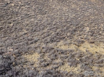 7805 Arapahoe Valley Rd, Laporte, CO 80535