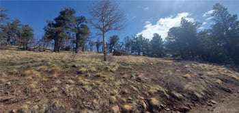 Lot 2740 Newman Pl, Fort Garland, CO 81133