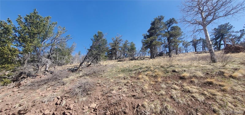 Lot 2740 Newman Pl Lot 2740, Fort Garland, CO 81133