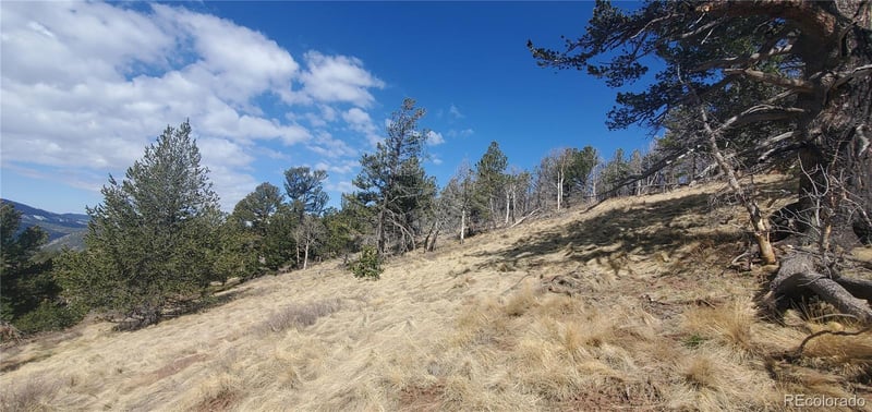 Lot 2740 Newman Pl Lot 2740, Fort Garland, CO 81133