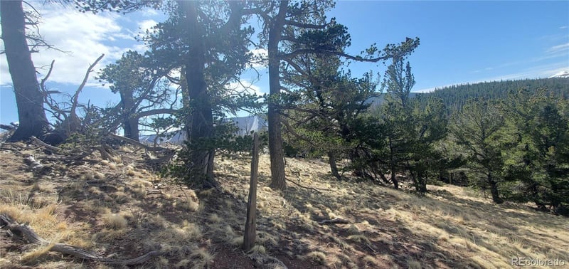 Lot 2740 Newman Pl Lot 2740, Fort Garland, CO 81133