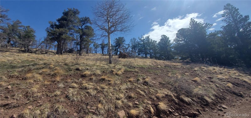 Lot 2740 Newman Pl Lot 2740, Fort Garland, CO 81133