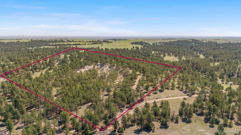 23967 High Timber Ln, Agate, CO 80101