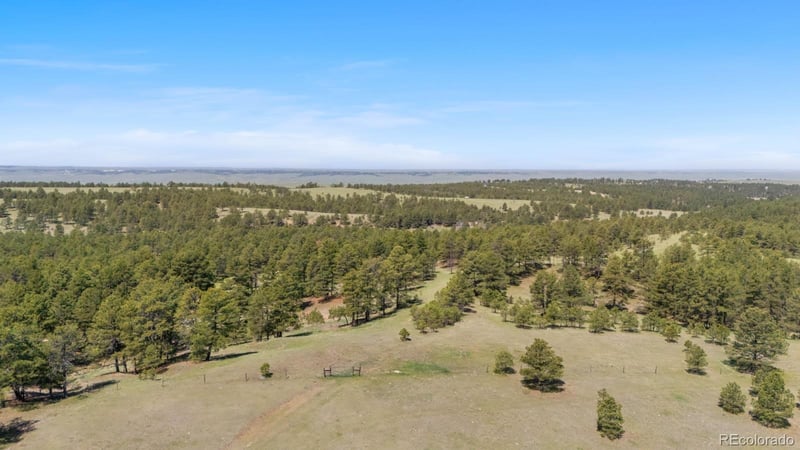 23967 High Timber Ln, Agate, CO 80101