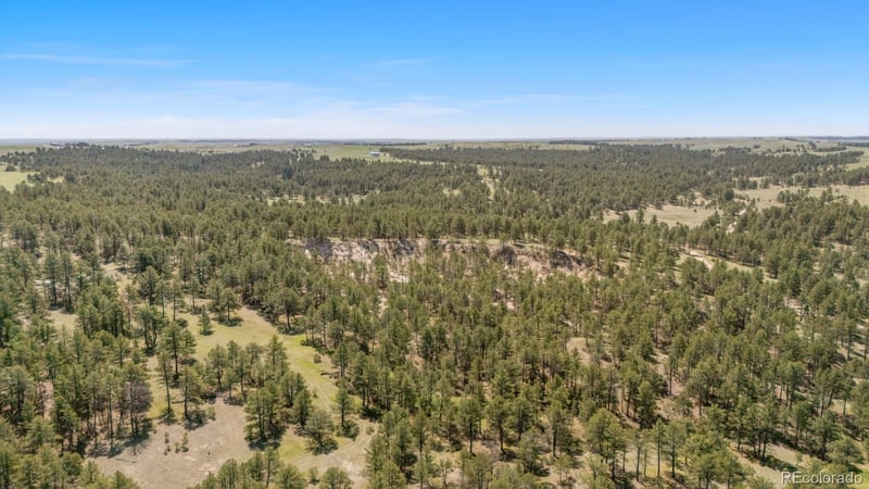 23967 High Timber Ln, Agate, CO 80101