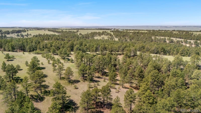 23967 High Timber Ln, Agate, CO 80101