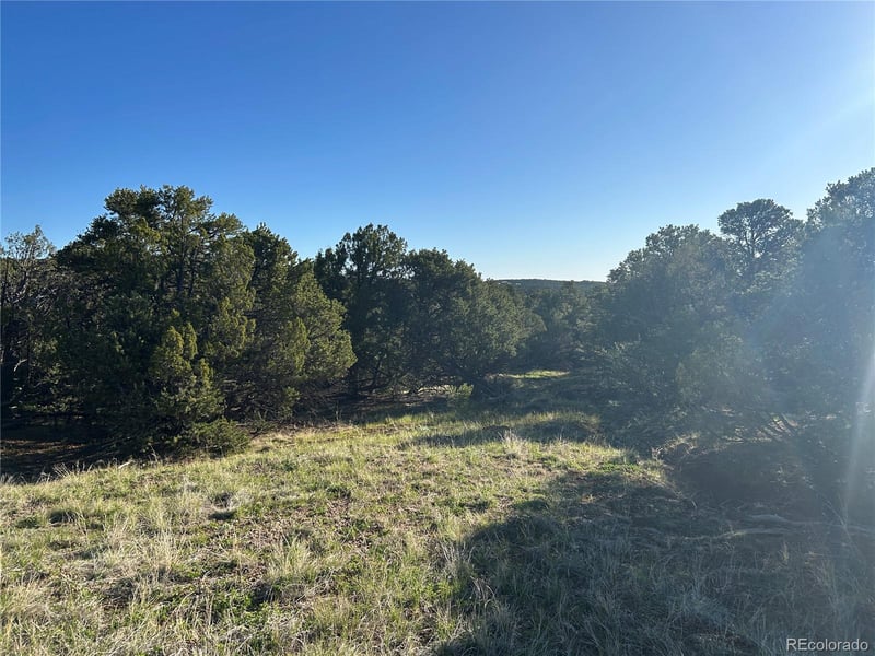 Lot 165 Silver Spurs Ranch Lot 165, Walsenburg, CO 81089