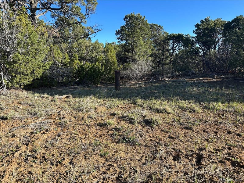 Lot 165 Silver Spurs Ranch Lot 165, Walsenburg, CO 81089
