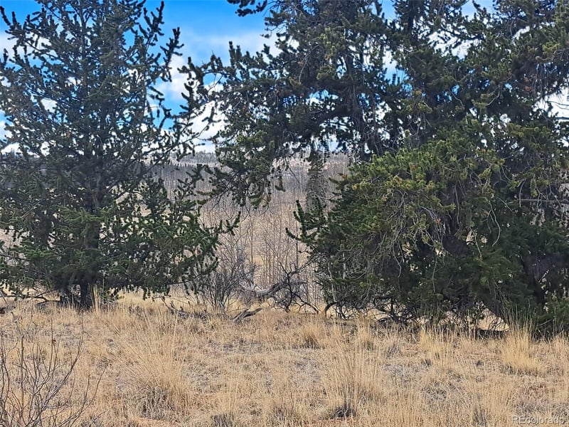 499 Kiowa St, Como, CO 80432