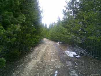 Hillside Rd, Idaho Springs, CO 80452