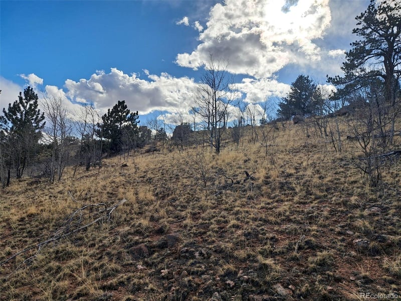 908 Raven Way, Como, CO 80432