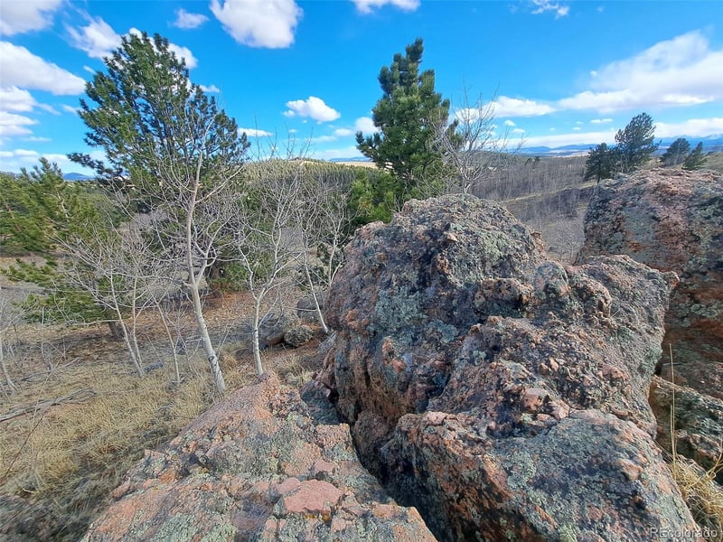 908 Raven Way, Como, CO 80432