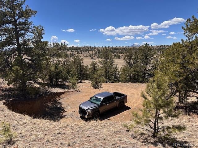 2972 Fitzsimmons , Hartsel, CO 80449