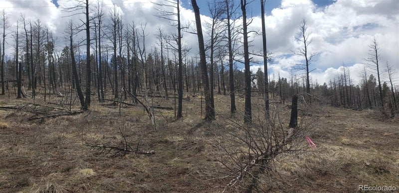 Lot 179 Duffy Ln, Fort Garland, CO 81133