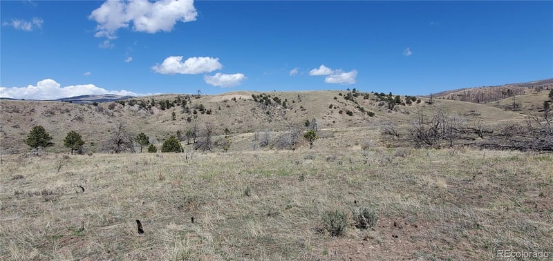 Lot 7699 Marie Rd, Fort Garland, CO 81133