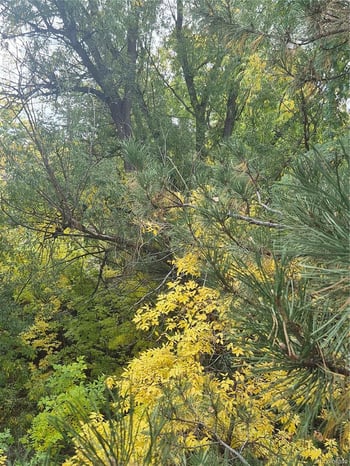 701 Harlan St #E53, Lakewood, CO 80214