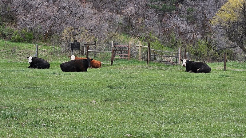 5250 Tall Horse Trl Lot 6, Sedalia, CO 80135